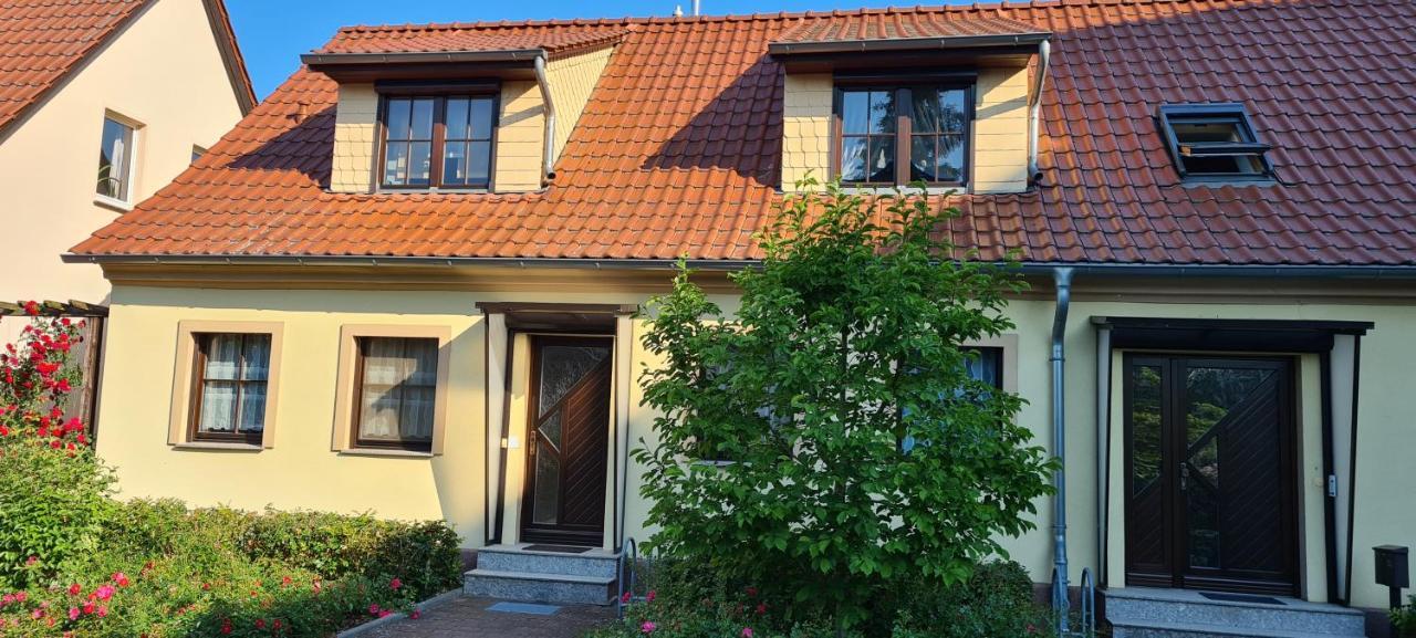 Die Ferienwohnung "Am Kietz" 슈베트 외부 사진