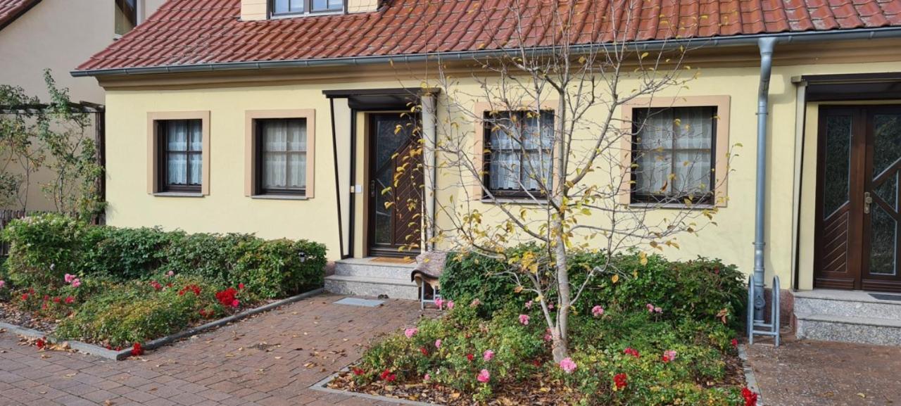 Die Ferienwohnung "Am Kietz" 슈베트 외부 사진